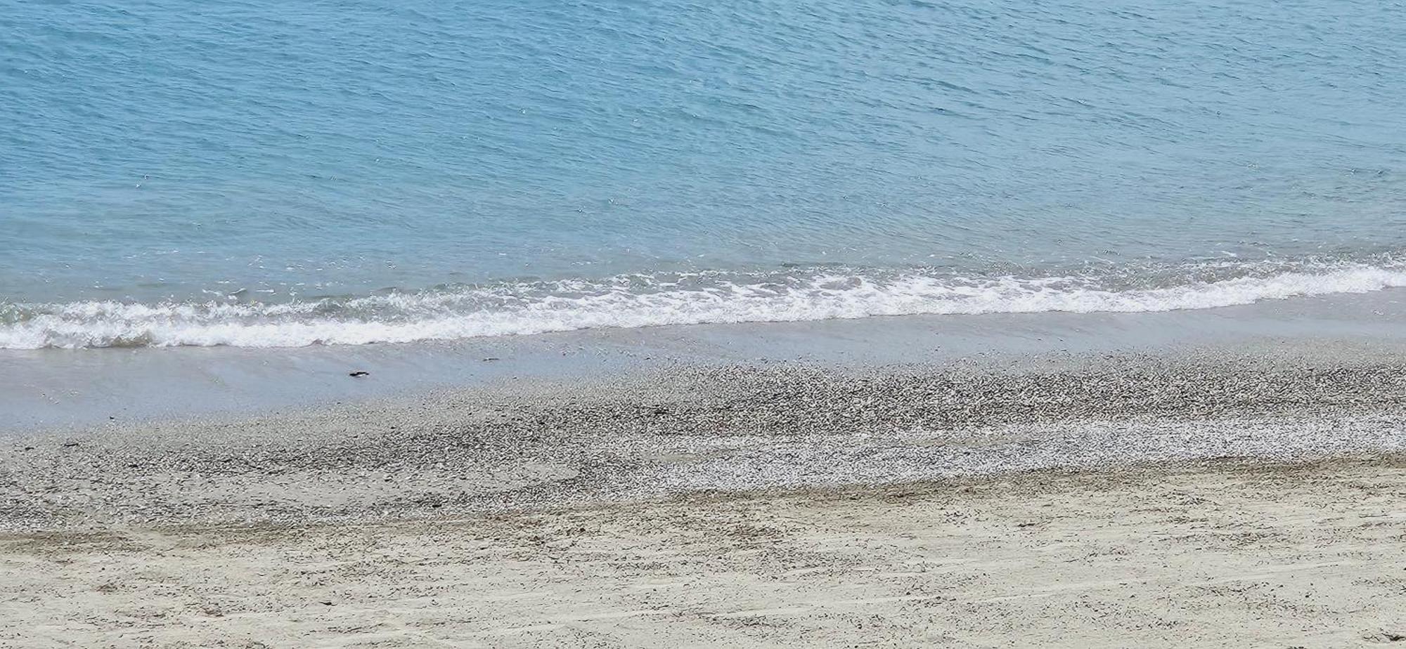 Apartament Vista Mare Savona Zewnętrze zdjęcie